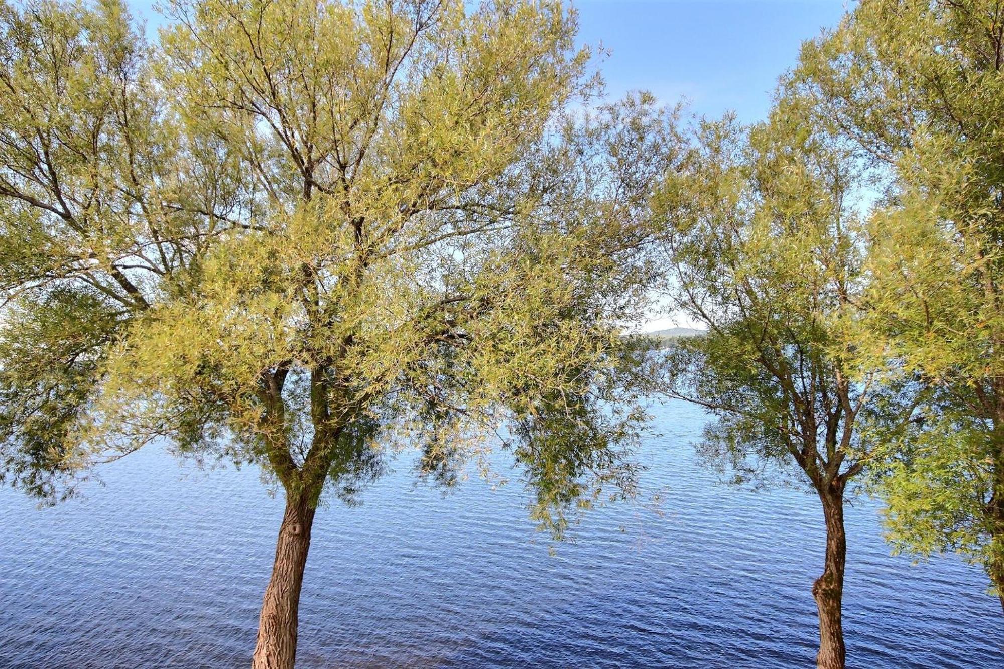 Location Tourisme Estrie - Oberge Du Village Magog Εξωτερικό φωτογραφία